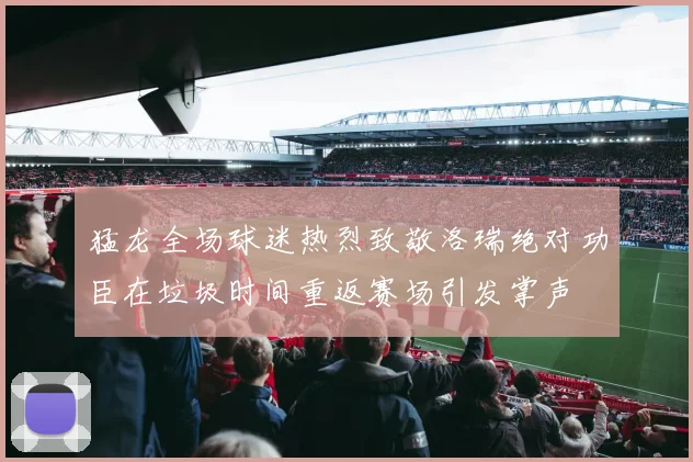 猛龙全场球迷热烈致敬洛瑞绝对功臣在垃圾时间重返赛场引发掌声